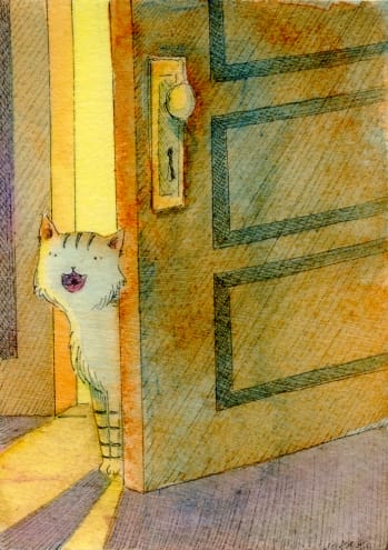 here_i_am_cats__animals__f515dd8d4856660e658ef2cf7be8c9f5