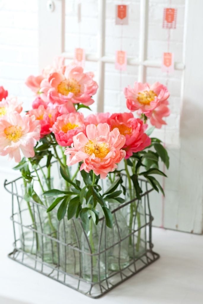 idei-design-interior