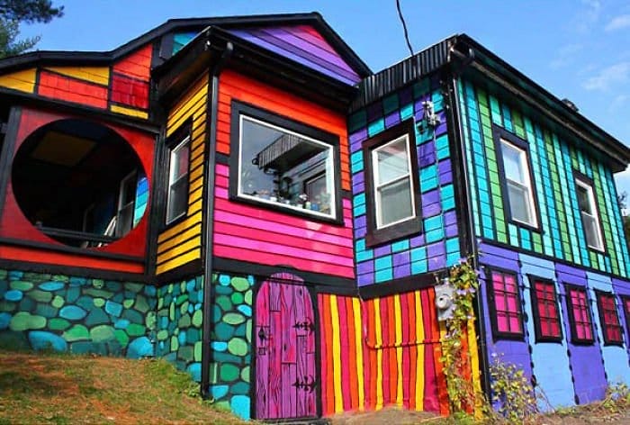 case-colorate-1