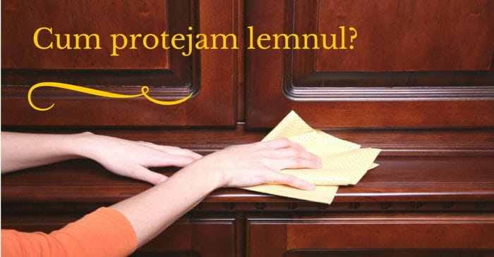 Cum protejam lemnul-
