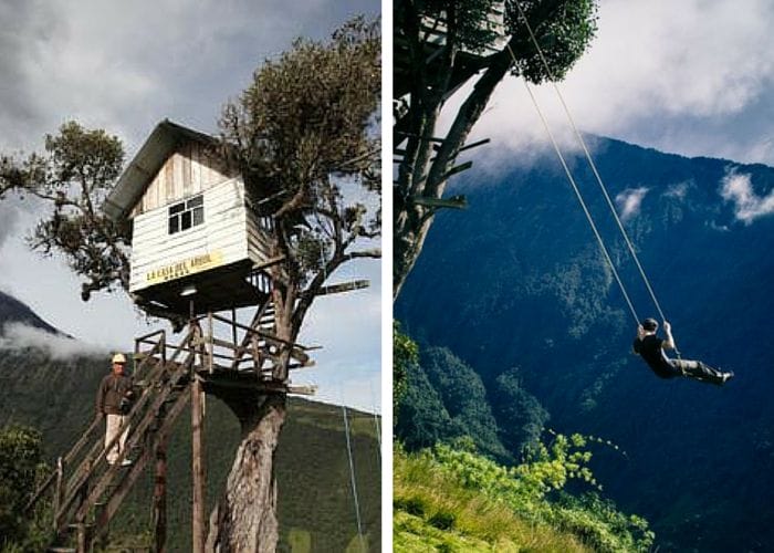 casuta-del-arbol