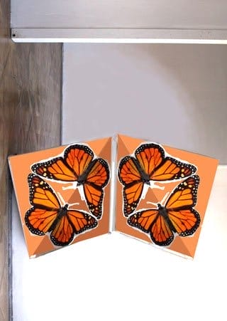 torggler-usa-pictura2