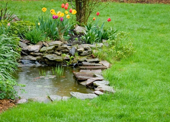 amenajare pentru gradina elesteu