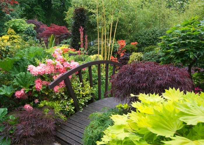 idei spectaculoase de amenajare pentru gradina